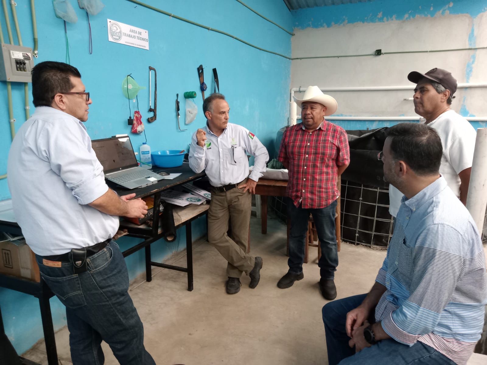 DOMO Consultoría — equipo en Xalapa